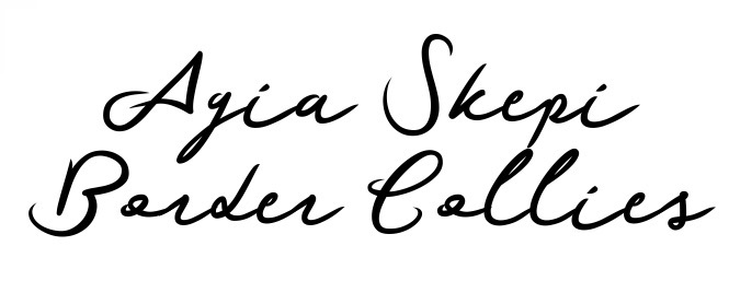 Agia Skepi Border Collies